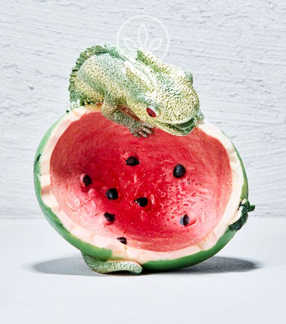 Polyserin Aschenbecher Chamaeleon Melone, Grün