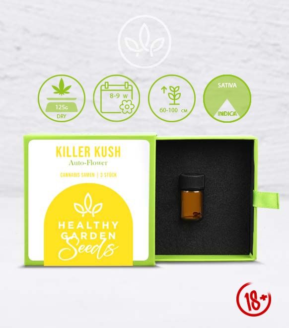 HEALTHYGARDEN Cannabis-Samen: Killer Kush