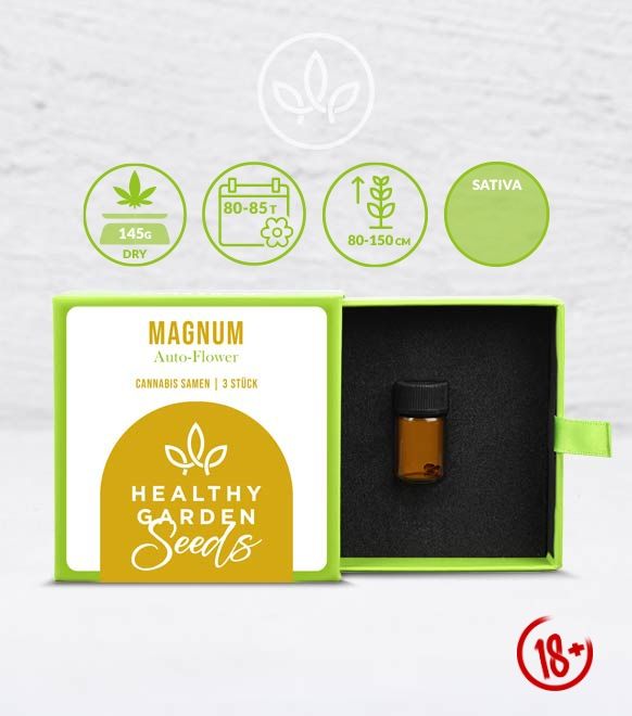 HEALTHYGARDEN Cannabis-Samen: Magnum