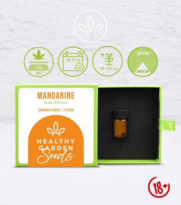 HEALTHYGARDEN Cannabis-Samen: Mandarine