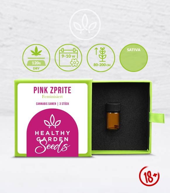HEALTHYGARDEN Cannabis-Samen: Pink Zprite