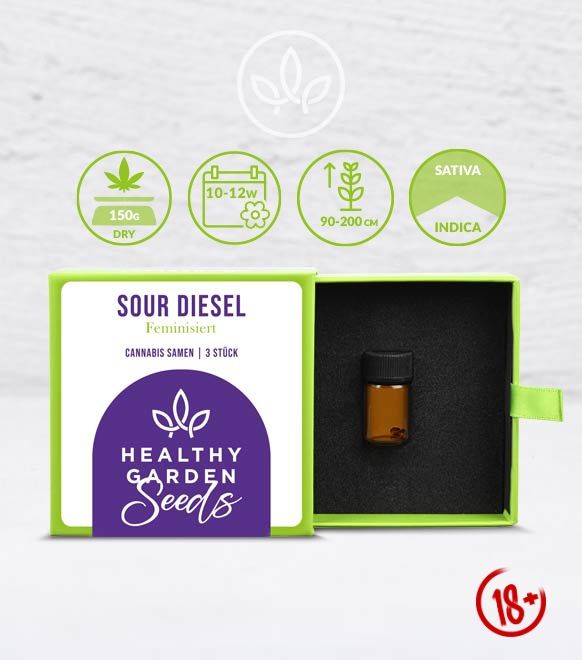 HEALTHYGARDEN Cannabis-Samen: Sour Diesel