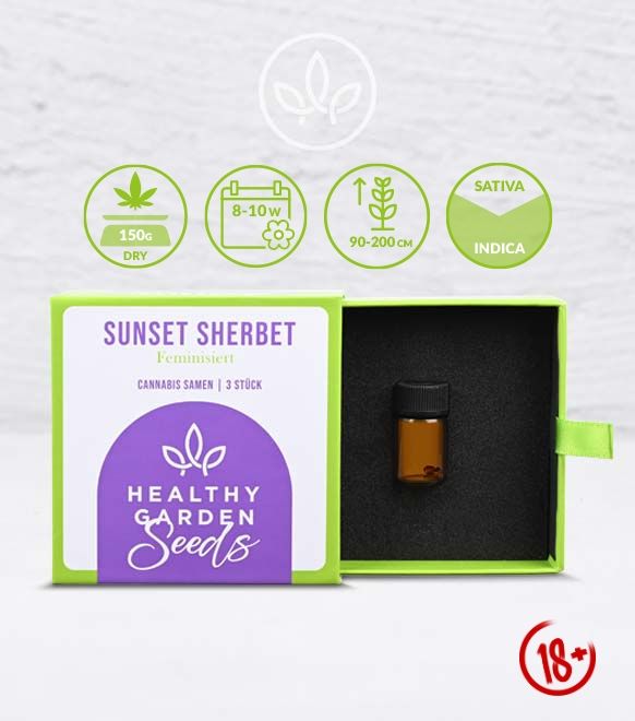 HEALTHYGARDEN Seeds - Sunset Sherbet