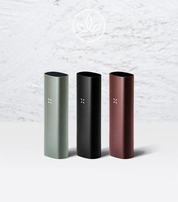 https://www.healthygarden.de/media/catalog/product/cache/299a1770d1cdb57887a459719d49b97f/p/a/pax3-complete-set-burgundy-rot_healthygarden-headshop_anzeigebild.jpg