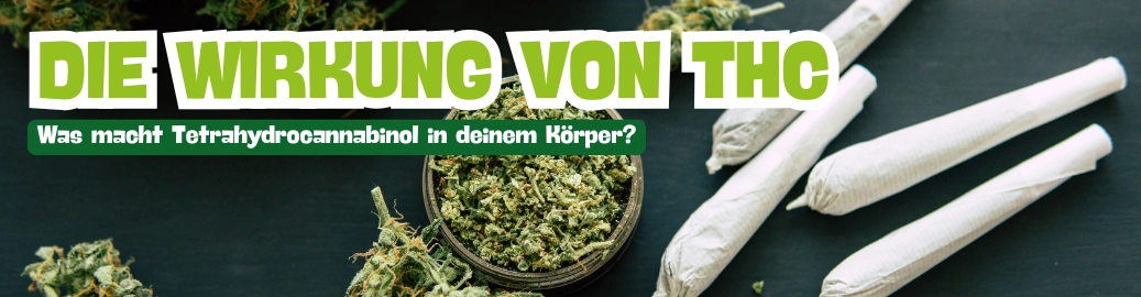 KI-generiertes Bild mit Cannabis und gerollten Joints