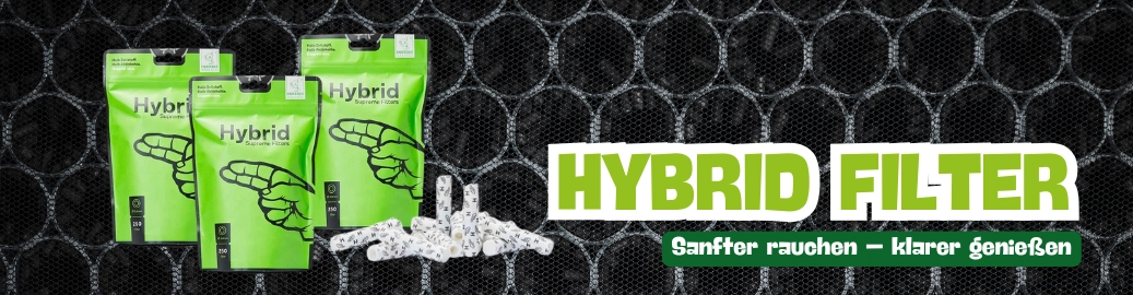 Hybrid Filter