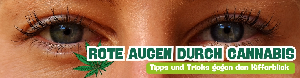 Nahaufnahme von den grünen Augen einer jungen Frau