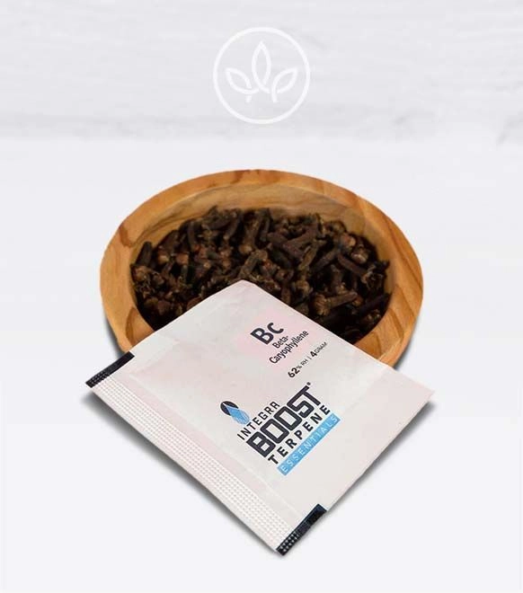 Feuchtigkeitsregulierer mit Terpenen-Boost Cariophylene 4g