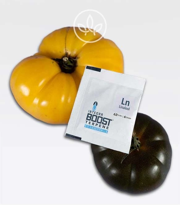 Feuchtigkeitsregulierer mit Terpenen-Boost Linalool 4g