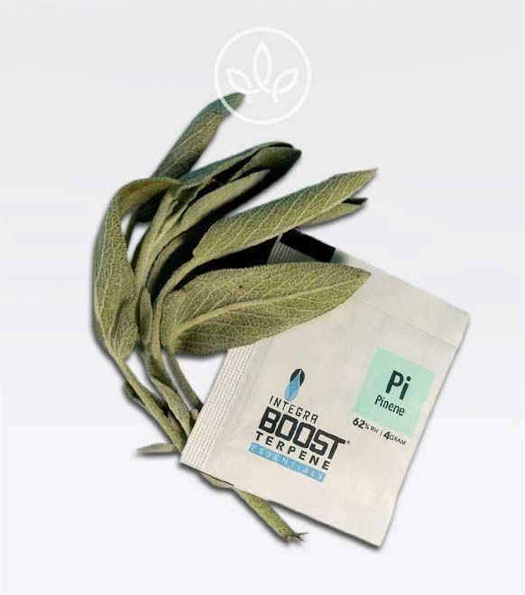 Feuchtigkeitsregulierer mit Terpenen-Boost Pinene 4g