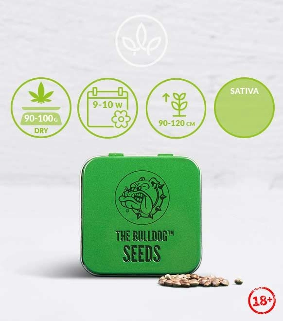 The Bulldog Amsterdam