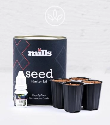 Mills Keimungsset Komplettansicht. Schwarze Dose mit Mills Seed Aufdruck. Konzentrat-Fläschchen und Anzuchtpads.